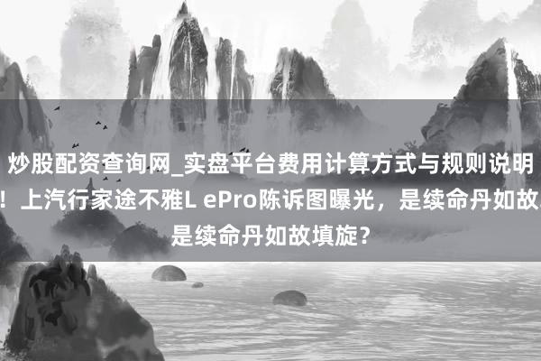 炒股配资查询网_实盘平台费用计算方式与规则说明 炸锅！上汽行家途不雅L ePro陈诉图曝光，是续命丹如故填旋？