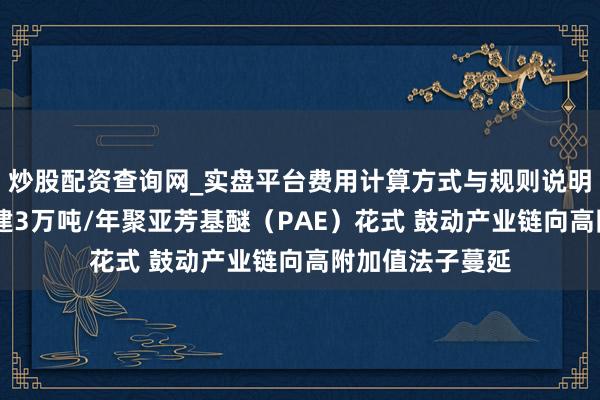 炒股配资查询网_实盘平台费用计算方式与规则说明 康达新材：投建3万吨/年聚亚芳基醚（PAE）花式 鼓动产业链向高附加值法子蔓延