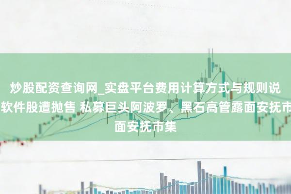 炒股配资查询网_实盘平台费用计算方式与规则说明 软件股遭抛售 私募巨头阿波罗、黑石高管露面安抚市集