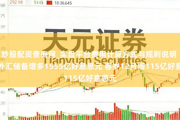炒股配资查询网_实盘平台费用计算方式与规则说明 客岁外汇储备增多1555亿好意思元 客岁12月增115亿好意思元