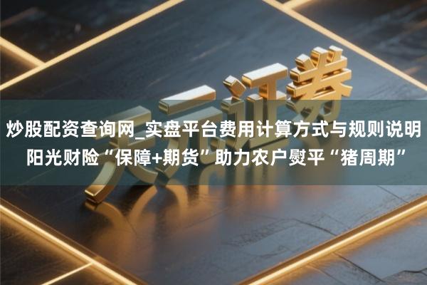 炒股配资查询网_实盘平台费用计算方式与规则说明 阳光财险“保障+期货”助力农户熨平“猪周期”