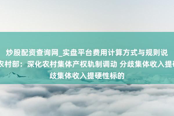 炒股配资查询网_实盘平台费用计算方式与规则说明 农业农村部：深化农村集体产权轨制调动 分歧集体收入提硬性标的