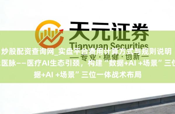炒股配资查询网_实盘平台费用计算方式与规则说明 一脉阳光+影禾医脉——医疗AI生态引颈，构建“数据+AI +场景”三位一体战术布局