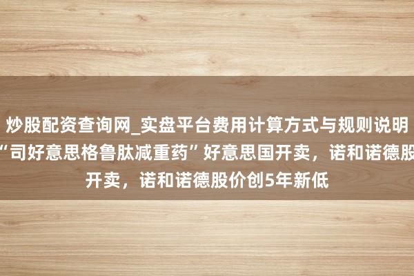 炒股配资查询网_实盘平台费用计算方式与规则说明 49好意思元“司好意思格鲁肽减重药”好意思国开卖，诺和诺德股价创5年新低
