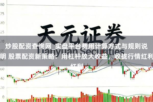 炒股配资查询网_实盘平台费用计算方式与规则说明 股票配资新策略：用杠杆放大收益，收拢行情红利