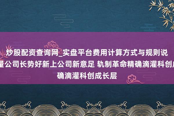 炒股配资查询网_实盘平台费用计算方式与规则说明 存量公司长势好新上公司新意足 轨制革命精确滴灌科创成长层
