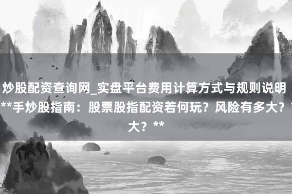 炒股配资查询网_实盘平台费用计算方式与规则说明 > **手炒股指南：股票股指配资若何玩？风险有多大？**