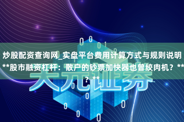 炒股配资查询网_实盘平台费用计算方式与规则说明 **股市融资杠杆：散户的钞票加快器也曾绞肉机？**