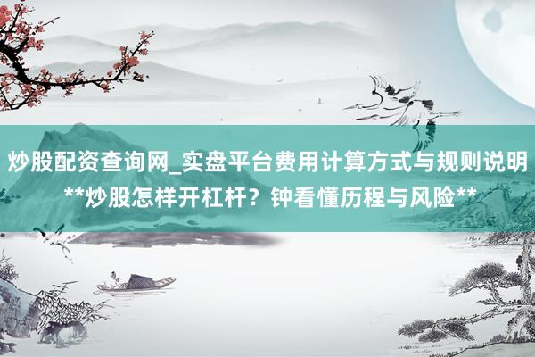 炒股配资查询网_实盘平台费用计算方式与规则说明 **炒股怎样开杠杆？钟看懂历程与风险**