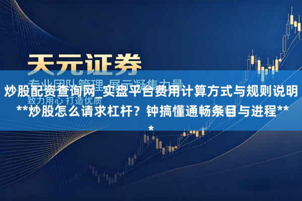 炒股配资查询网_实盘平台费用计算方式与规则说明 **炒股怎么请求杠杆？钟搞懂通畅条目与进程**